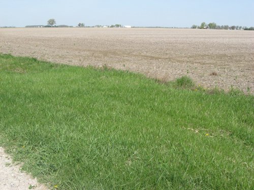 Property photo 34 - 172 Acres Offered in 3 Tracts - Prime Farmland